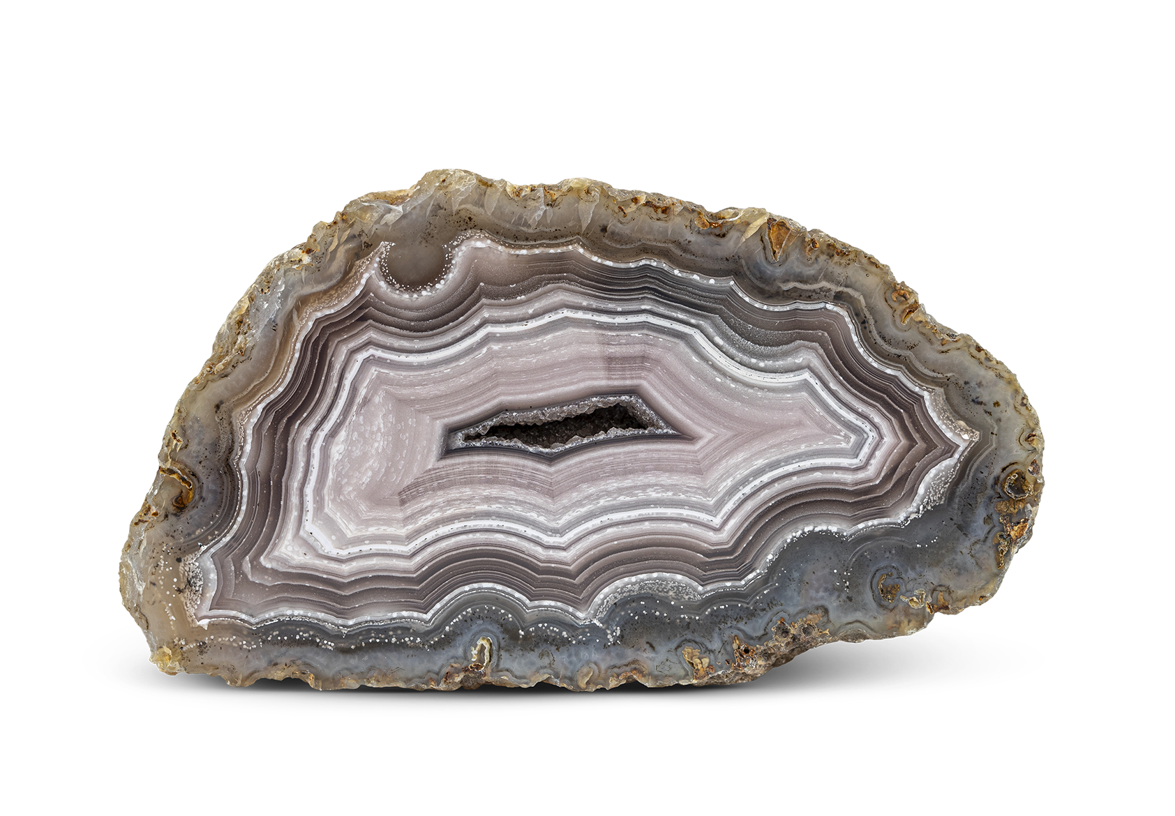 Calandria achát