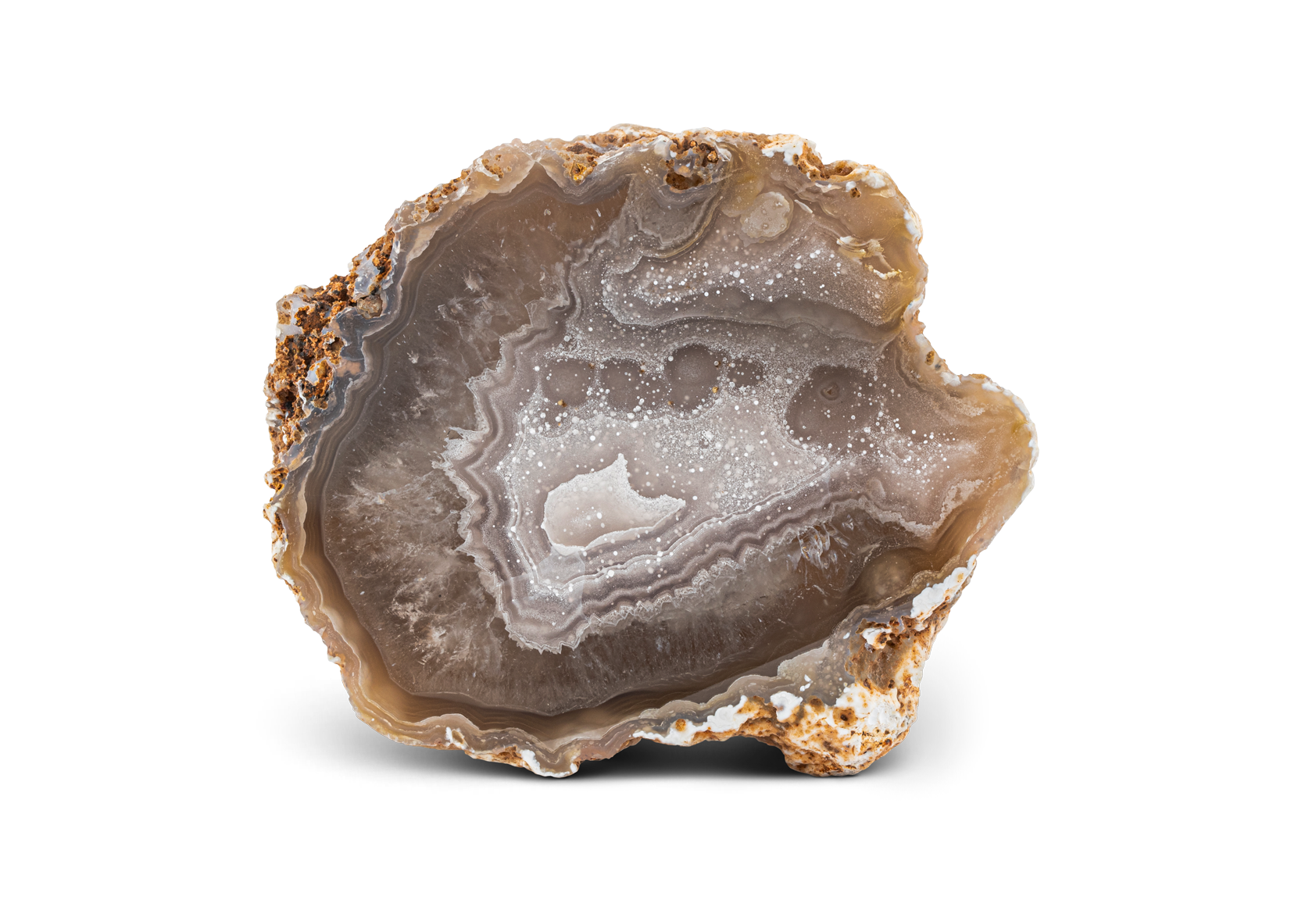 Calandria achát