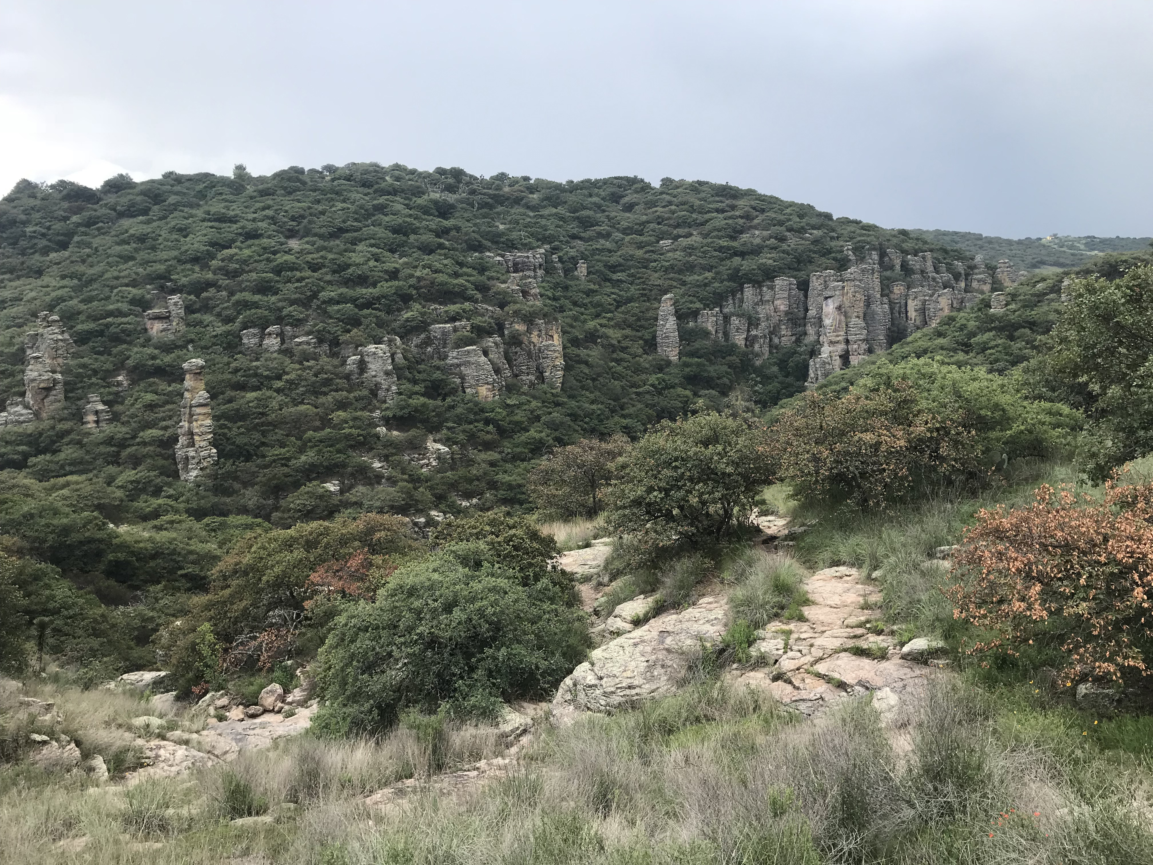 1. The location is about 80 km from the city Leon-GTO
