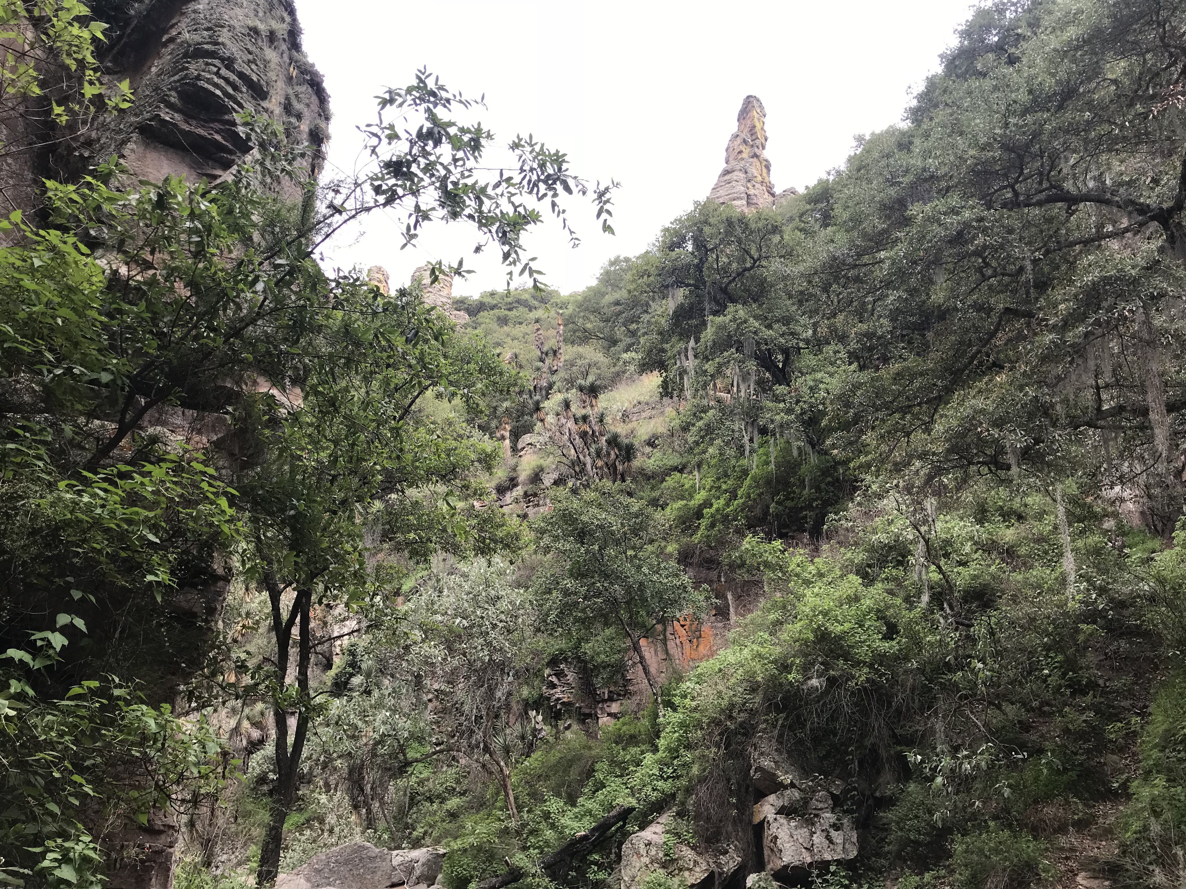 3. A stream flows through the canyon, there is no other path