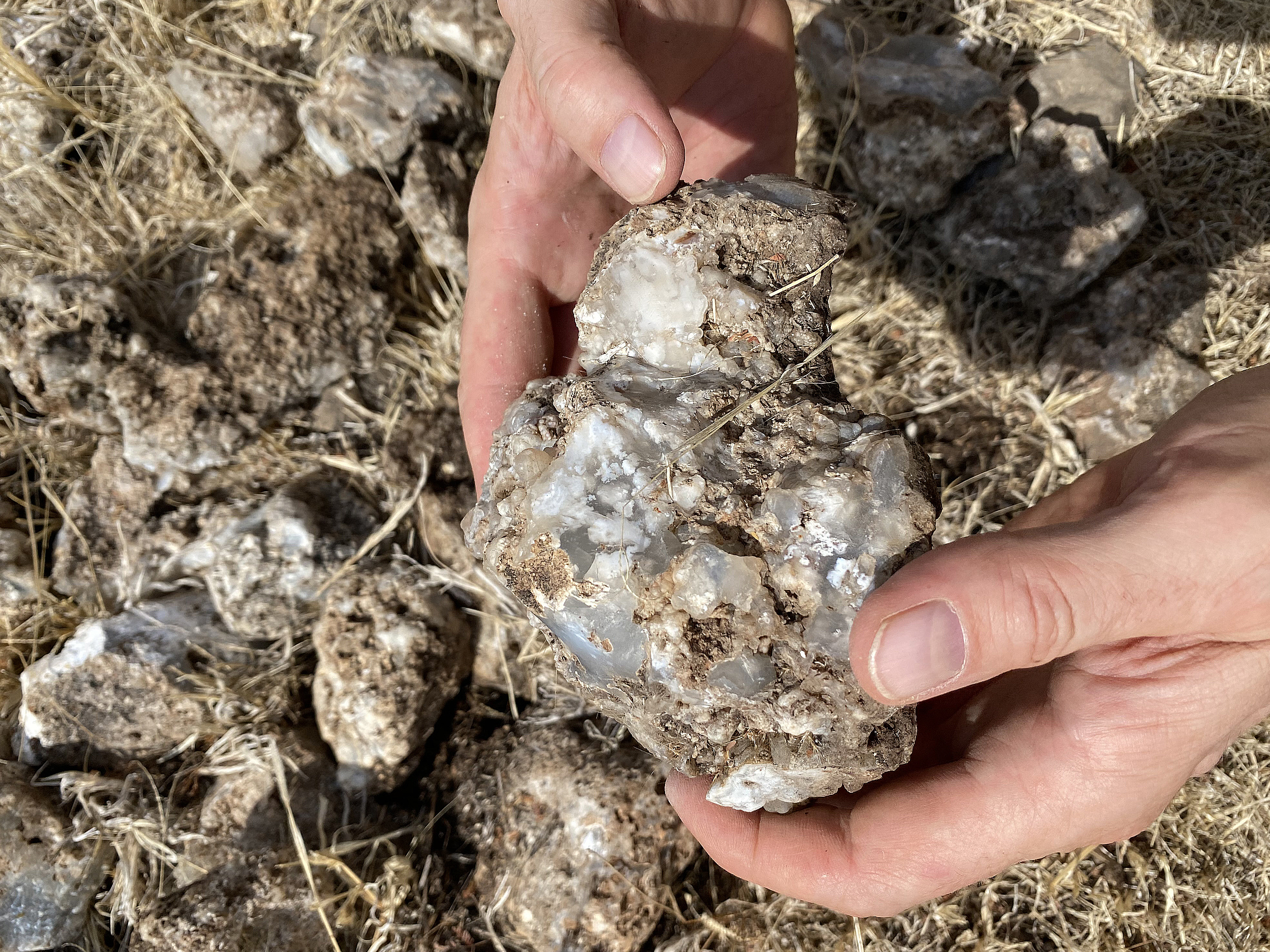 6. Our findings of feather chalcedony