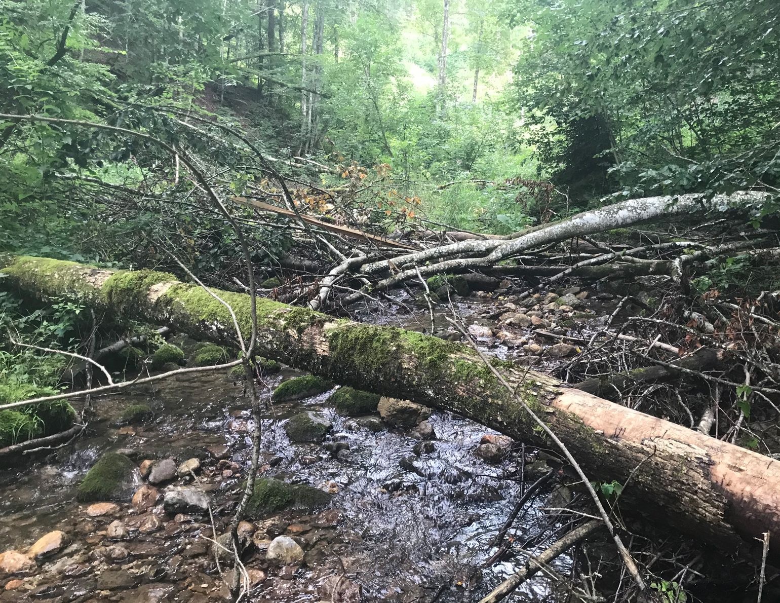 2. Streams and surrounding hillsides