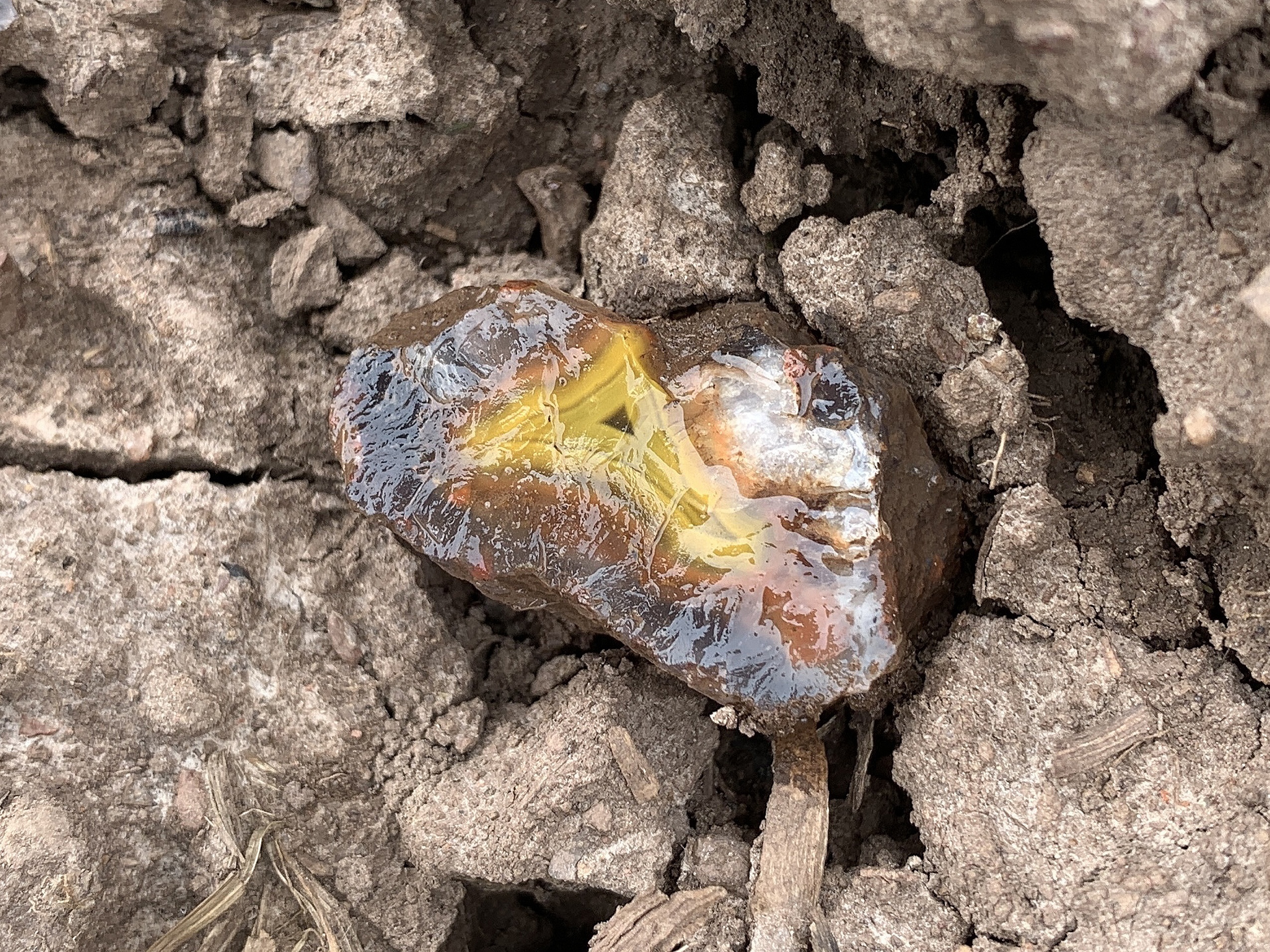 1. Easter finding of the yellow agates