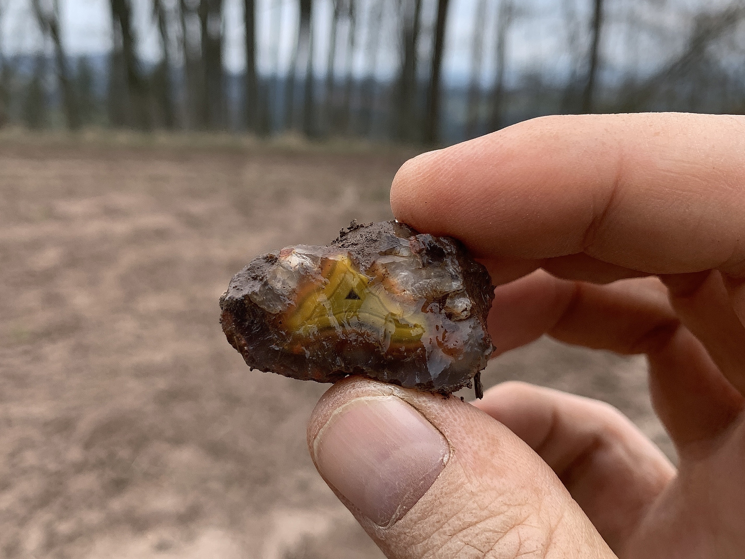 2. Easter finding of the yellow agates