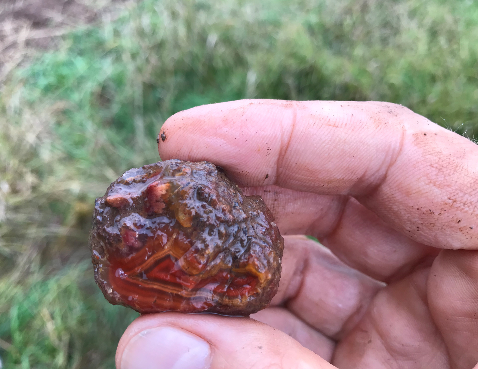 3. A demonstration of finding of Rovně agate