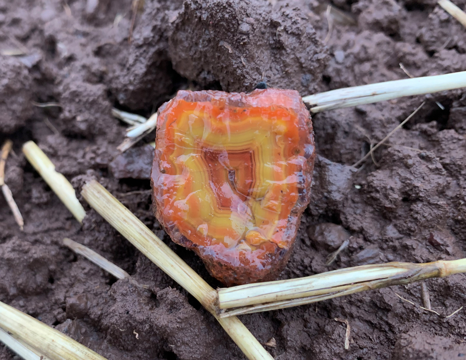 4. A place of finding of Rovně agate – „yellow stone“