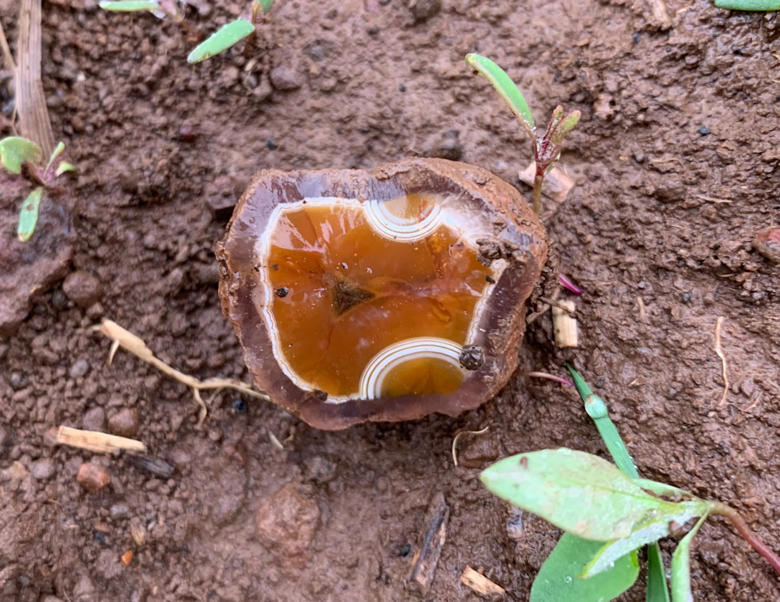 5. A place of finding of Rovně agate – „yellow stone“