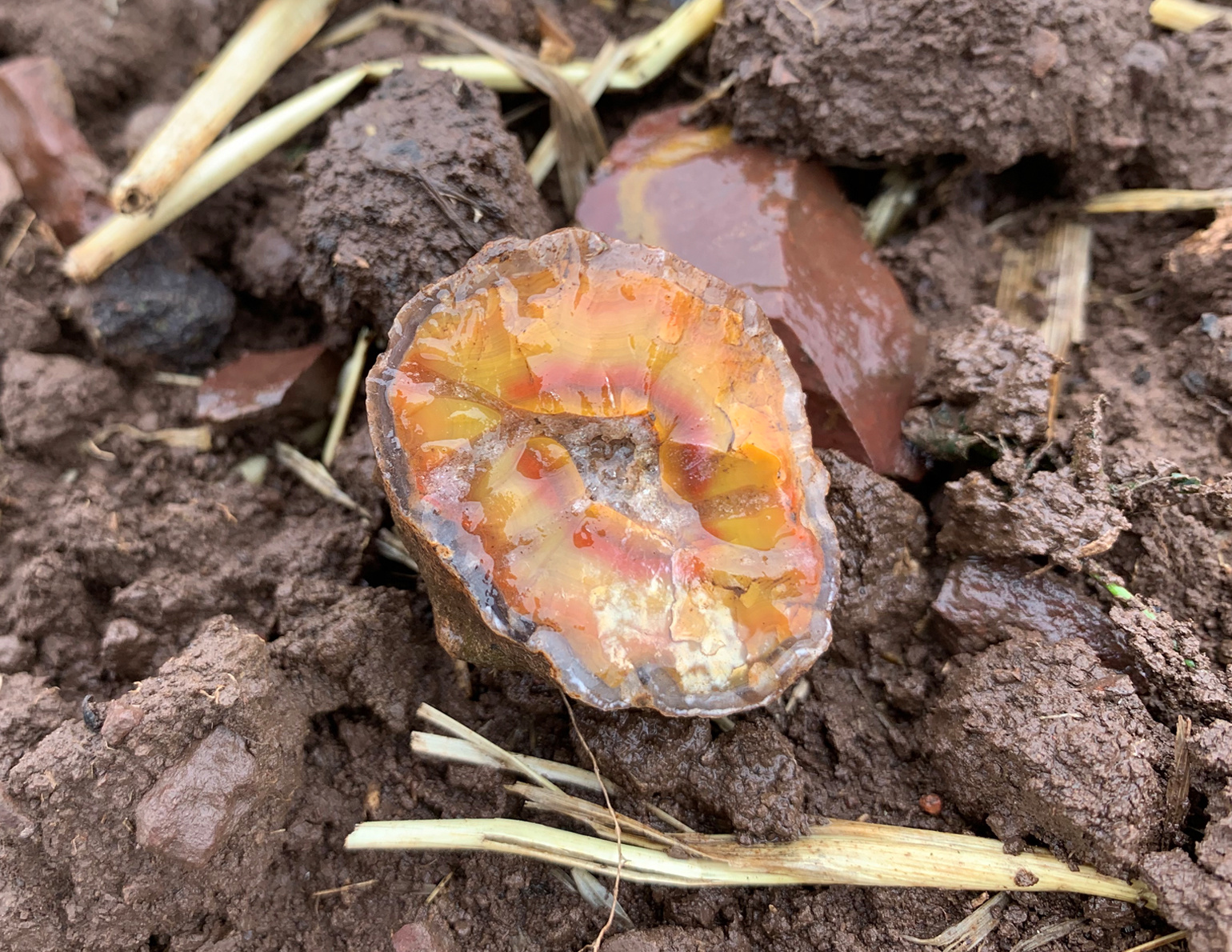 6. A place of finding of Rovně agate – „yellow stone“